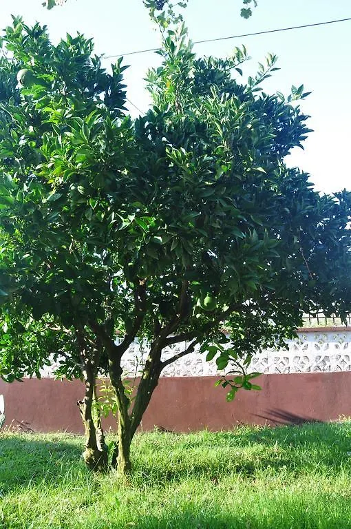 Διαμέρισμα Franko Apartmani Zambratija